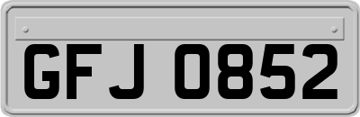 GFJ0852