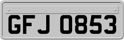 GFJ0853
