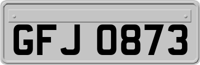 GFJ0873
