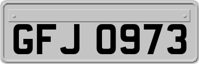 GFJ0973