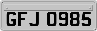 GFJ0985