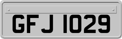 GFJ1029