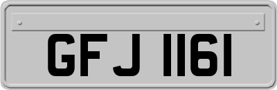 GFJ1161