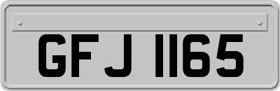 GFJ1165