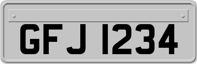 GFJ1234