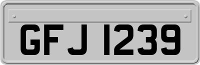 GFJ1239