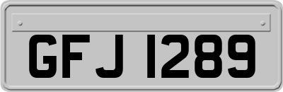 GFJ1289