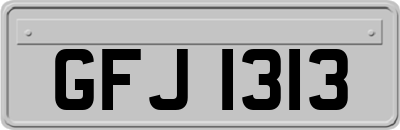 GFJ1313