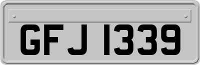 GFJ1339