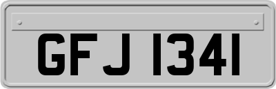 GFJ1341