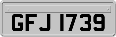 GFJ1739