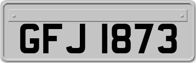 GFJ1873
