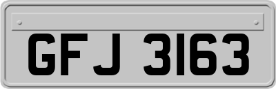 GFJ3163