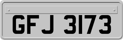 GFJ3173
