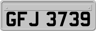 GFJ3739