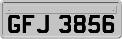 GFJ3856