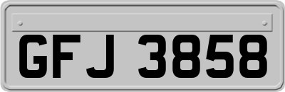 GFJ3858
