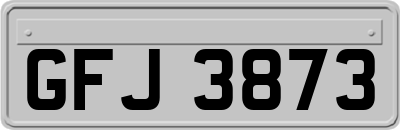 GFJ3873