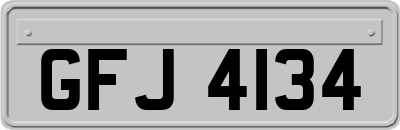 GFJ4134