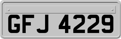 GFJ4229