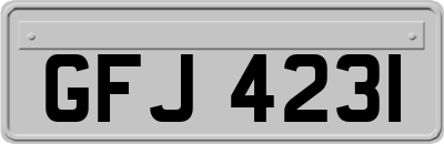GFJ4231