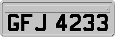 GFJ4233