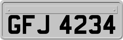 GFJ4234
