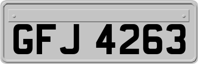 GFJ4263