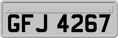GFJ4267