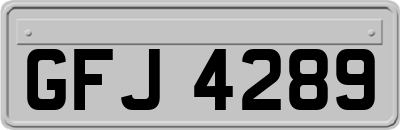 GFJ4289