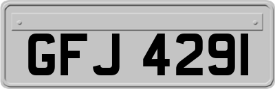 GFJ4291