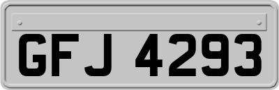 GFJ4293