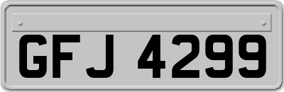 GFJ4299