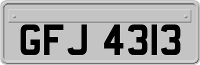 GFJ4313