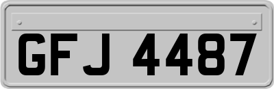 GFJ4487