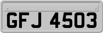 GFJ4503