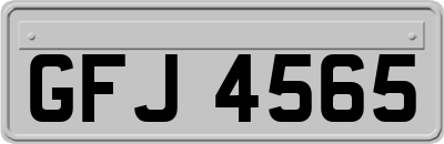 GFJ4565