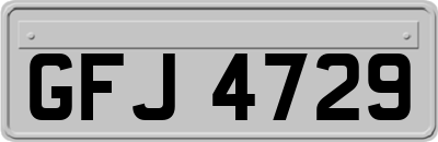 GFJ4729