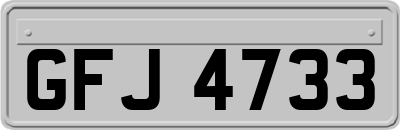 GFJ4733