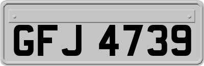 GFJ4739