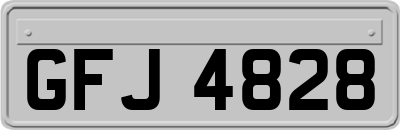 GFJ4828