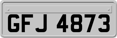 GFJ4873