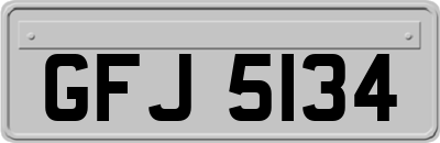 GFJ5134