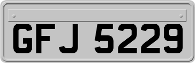 GFJ5229
