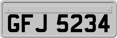 GFJ5234
