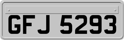 GFJ5293