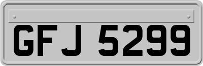 GFJ5299