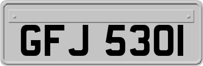 GFJ5301