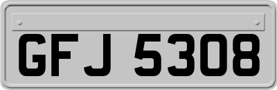 GFJ5308