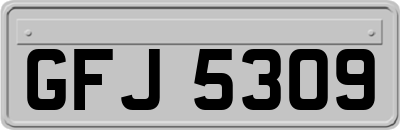 GFJ5309